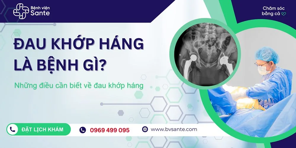 Đau khớp háng là bệnh gì? Những điều cần biết về đau khớp háng